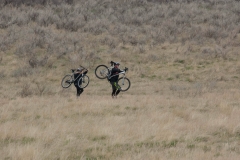 Cactus Hike-a-Bike