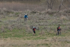 Over the Fence